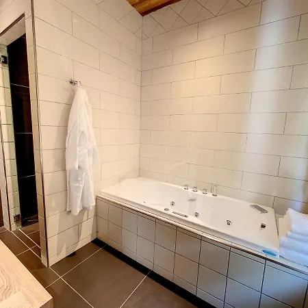 Les Alpes Iii 公寓 霞慕尼